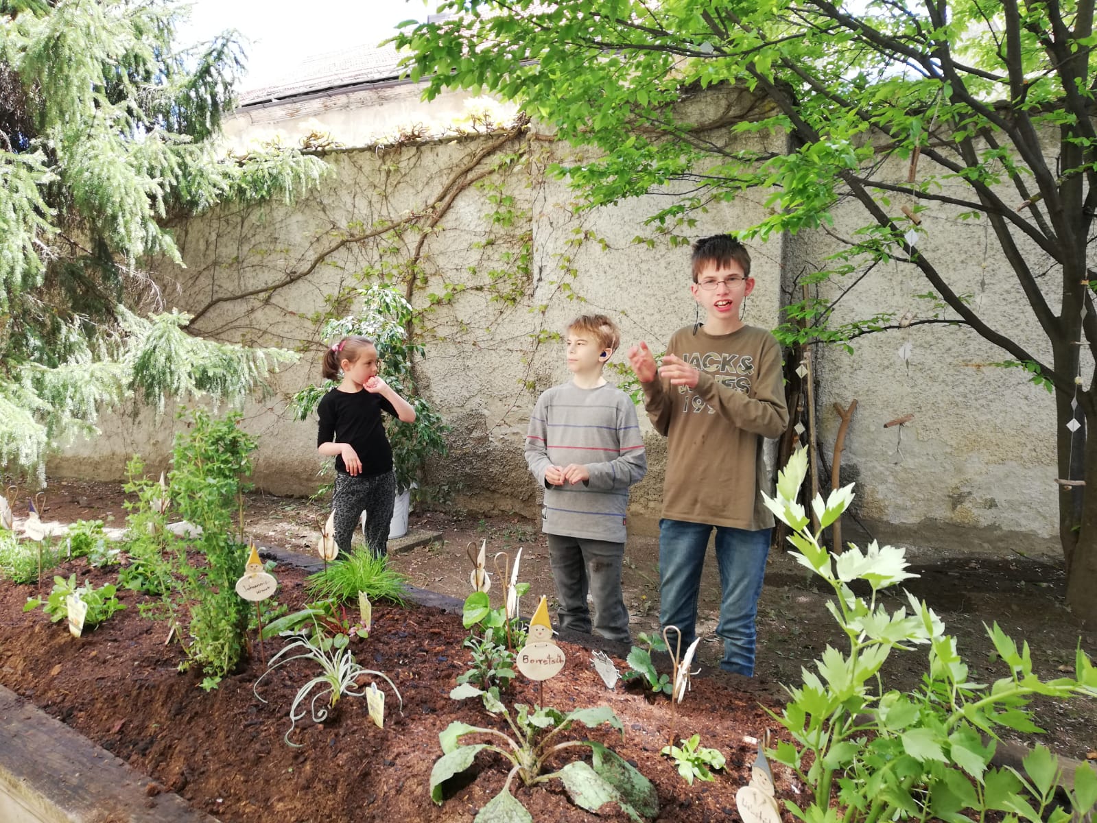 Schulgarten 5 Schulgarten 5