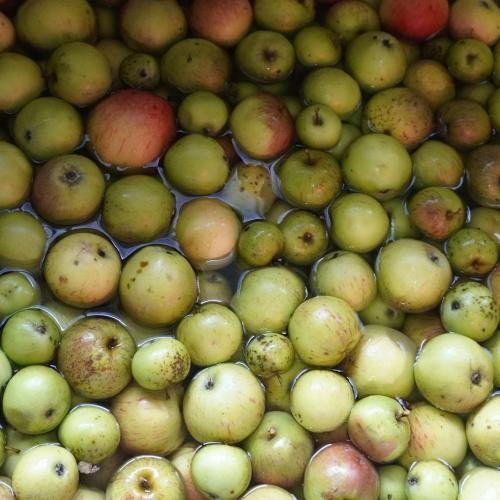 Äpfel 8