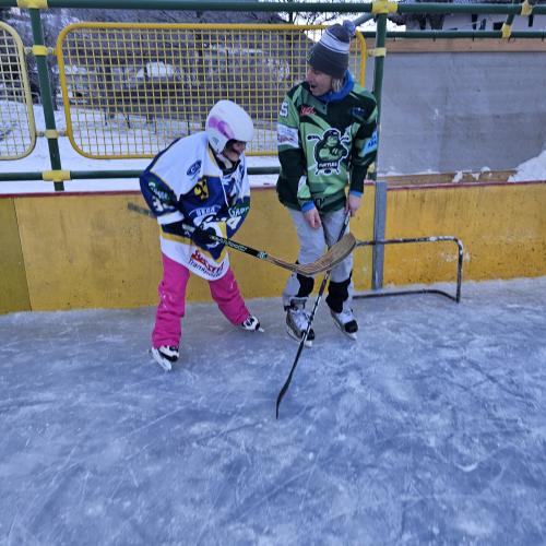 Eishockey11