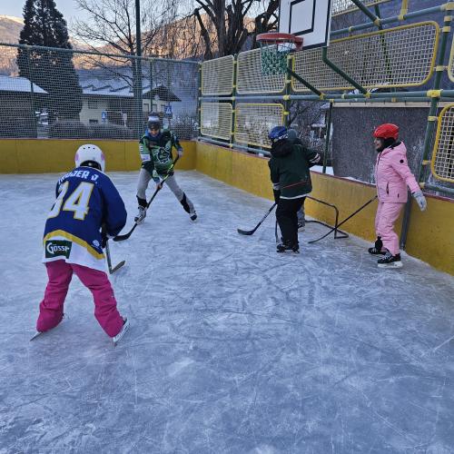 Eishockey18