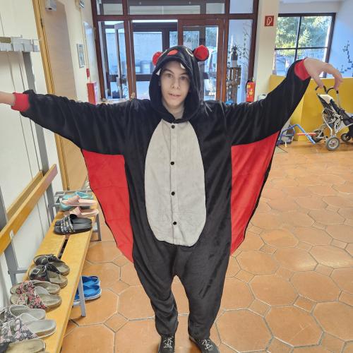 Fasching 5