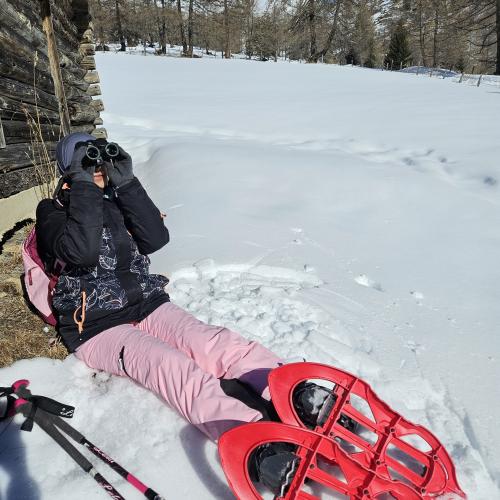 Schneeschuhwandern19