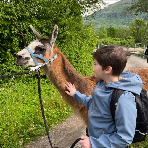 Lama 2