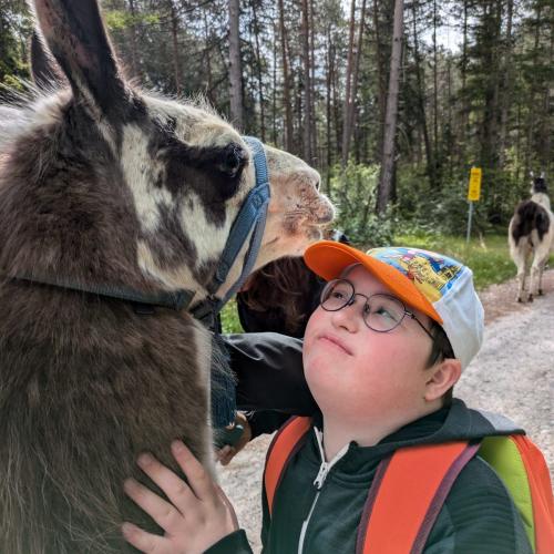 Lama 5