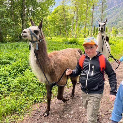 Lama 6