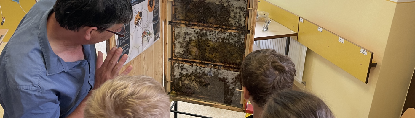 Bienen 4