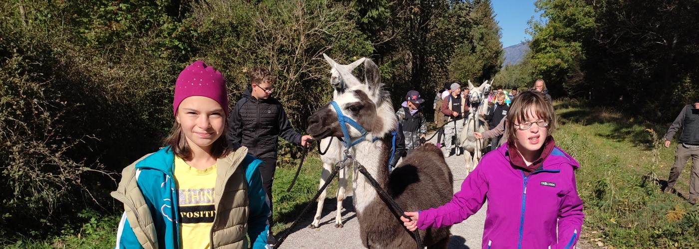 Lama 2